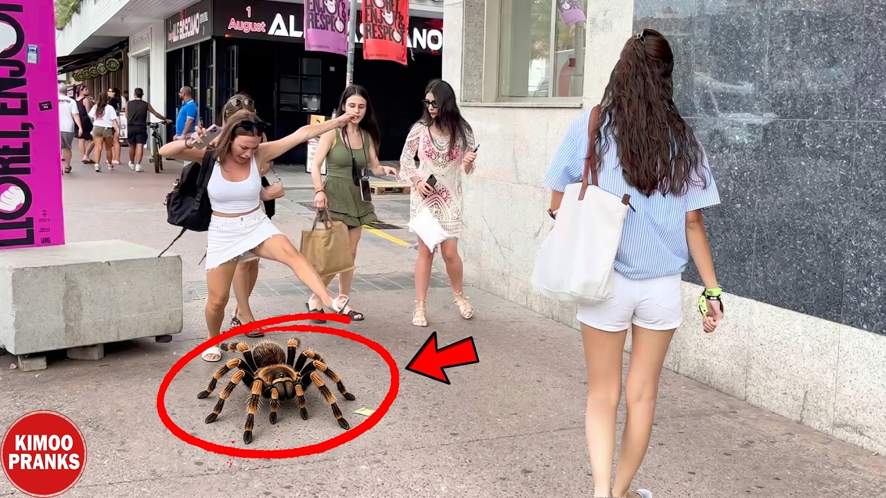 Funniest Reactions of Spider Prank