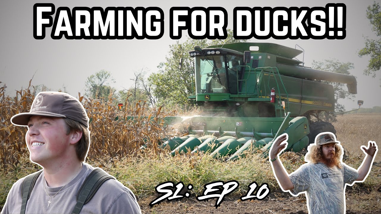 Farming for Ducks! The Final Push Before Season Starts! S1: Episode 10