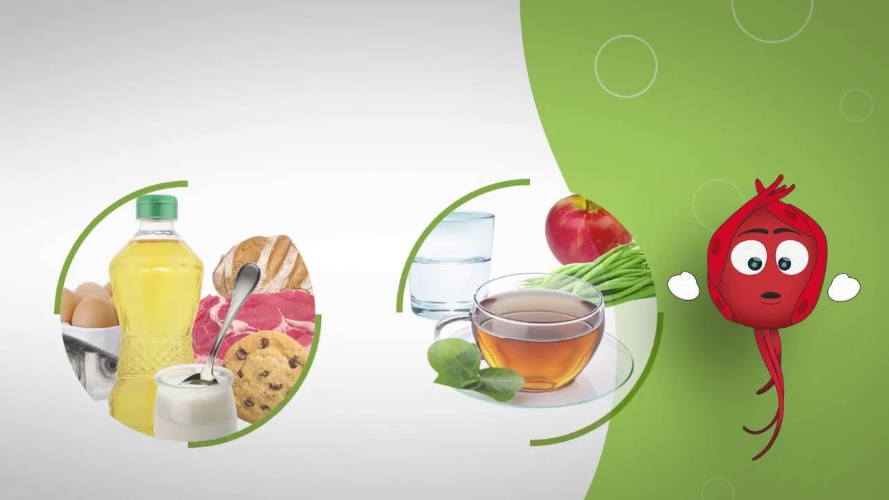 La pyramide des aliments