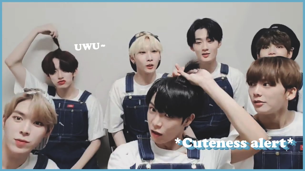 TRY NOT TO UWU CHALLENGEㅣVERIVERY cute moments (Random ver.)