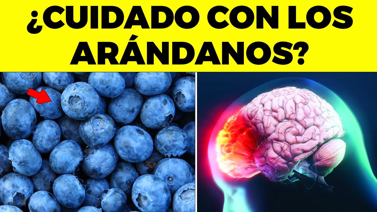 Esto Te Va A Pasar Si Comes Arándanos Diario