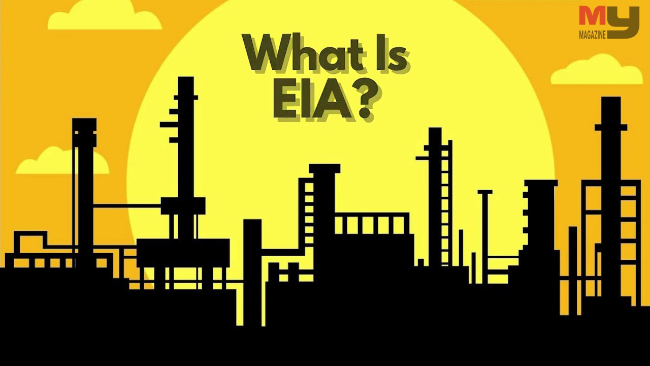 What is EIA 2020?