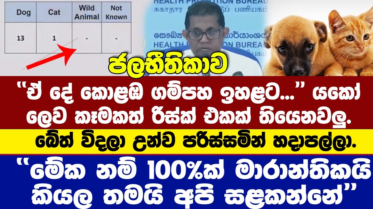 බේත් විදල පරිස්සමින් හදාපල්ල- ''100%ක් මාරාන්තිකයි කියල තමයි අපි සළකන්නේ''