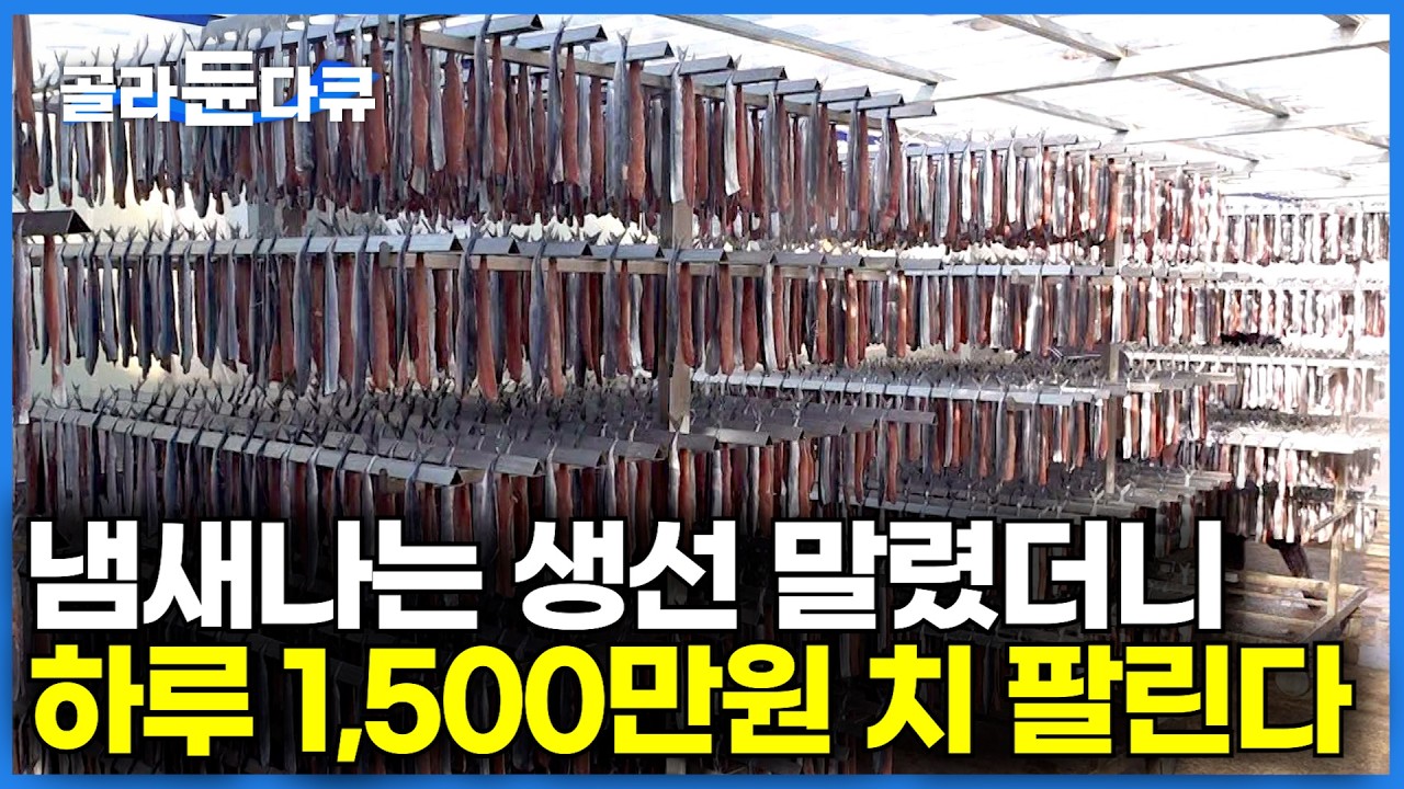 뼈도 많고 냄새나서 보관하기 힘든 생선을 말려서 팔았더니, 하루 10,000마리 전국에서 찾아온다｜겨울 제철 하루 ｜극한직업｜#골라듄다큐