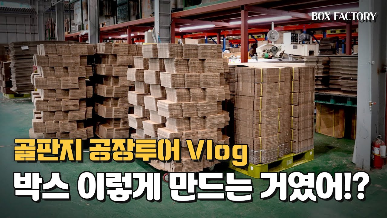 골판지박스 공장투어 vlog 에스제이패키지 #백PD #공장투어 #박스공장 #승화하다