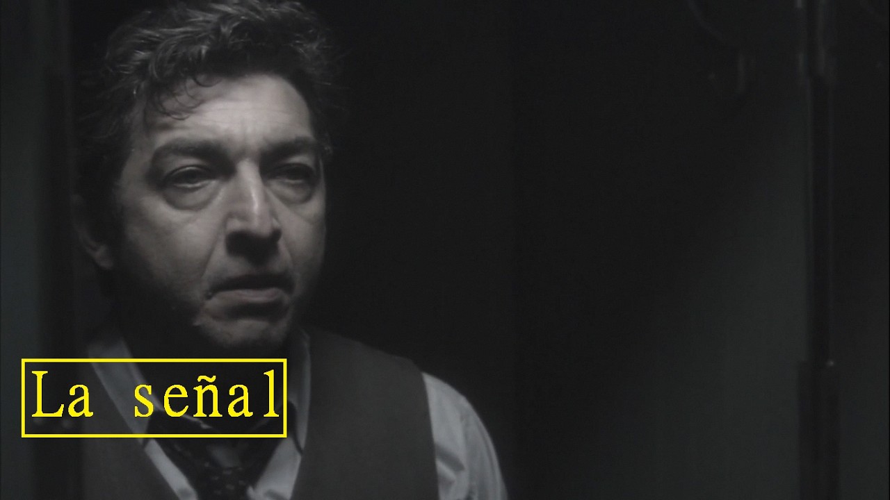 Pel&iacute;cula argentina-La se&ntilde;al-Noir/Misterio -Ricardo Dar&iacute;n/Diego Peretti/Julieta D&iacute;az.