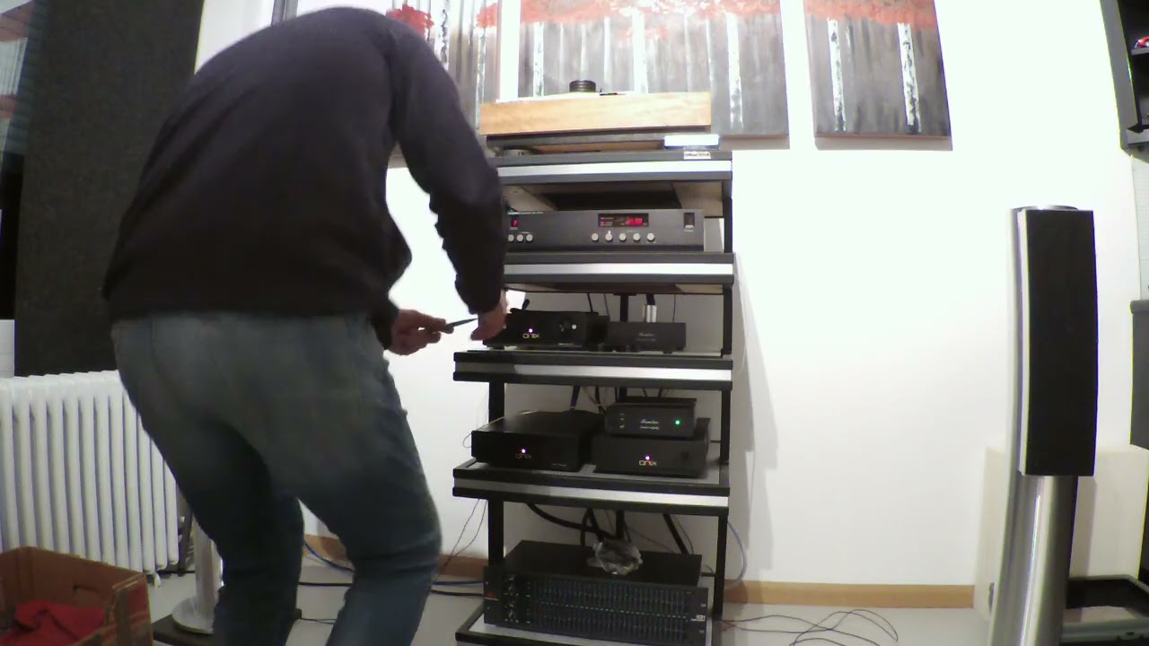 Sony PS2250 turn table with Audio Technica VM95SH cartridge. An impression ...