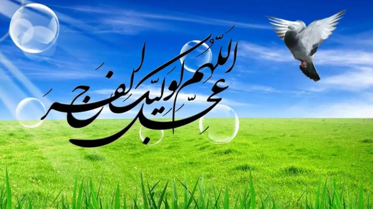 تشرف نوه صاحب مکیال المکارم محضر امام زمان عج الله فرجه