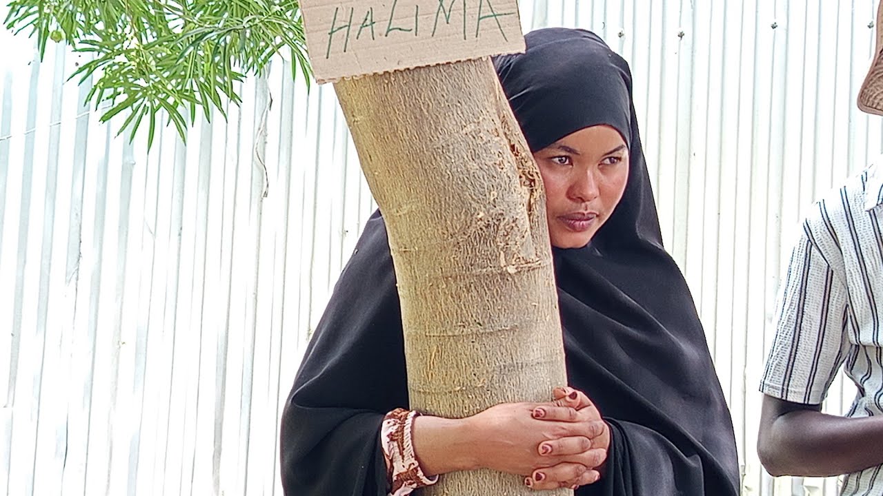 FROM ISIOLO TO EUROPE: HALIMA BORU’S 72-HOUR TREE HUG SPARKS GLOBAL PROMISE