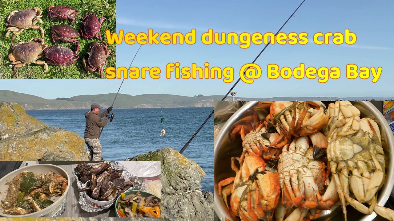 Crab Snare Fishing for Dungeness Crabs at Bodega Bay #Doran Beach #Doran Beach Campgrounds
