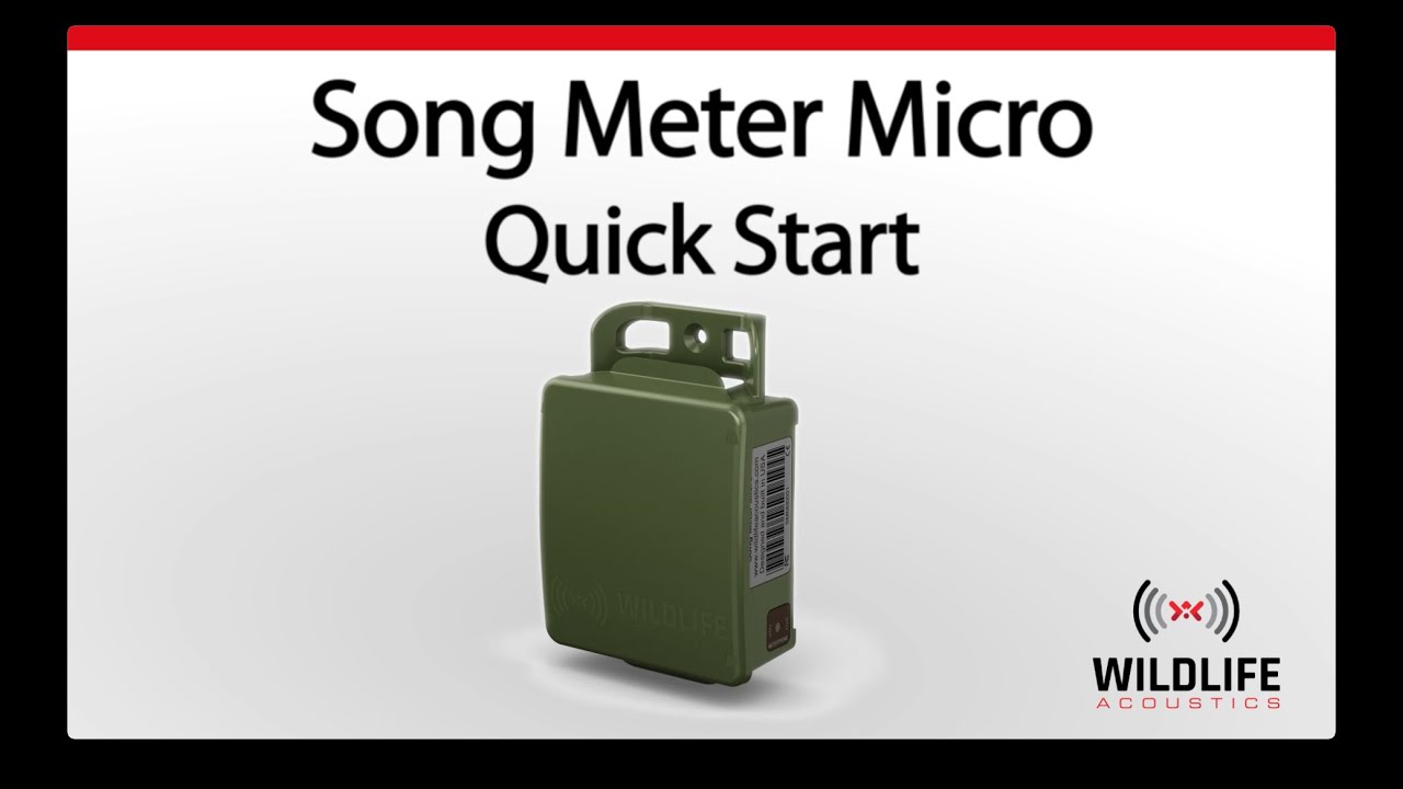 Song Meter Micro - Quick Start Guide | Bat Sound Recorder