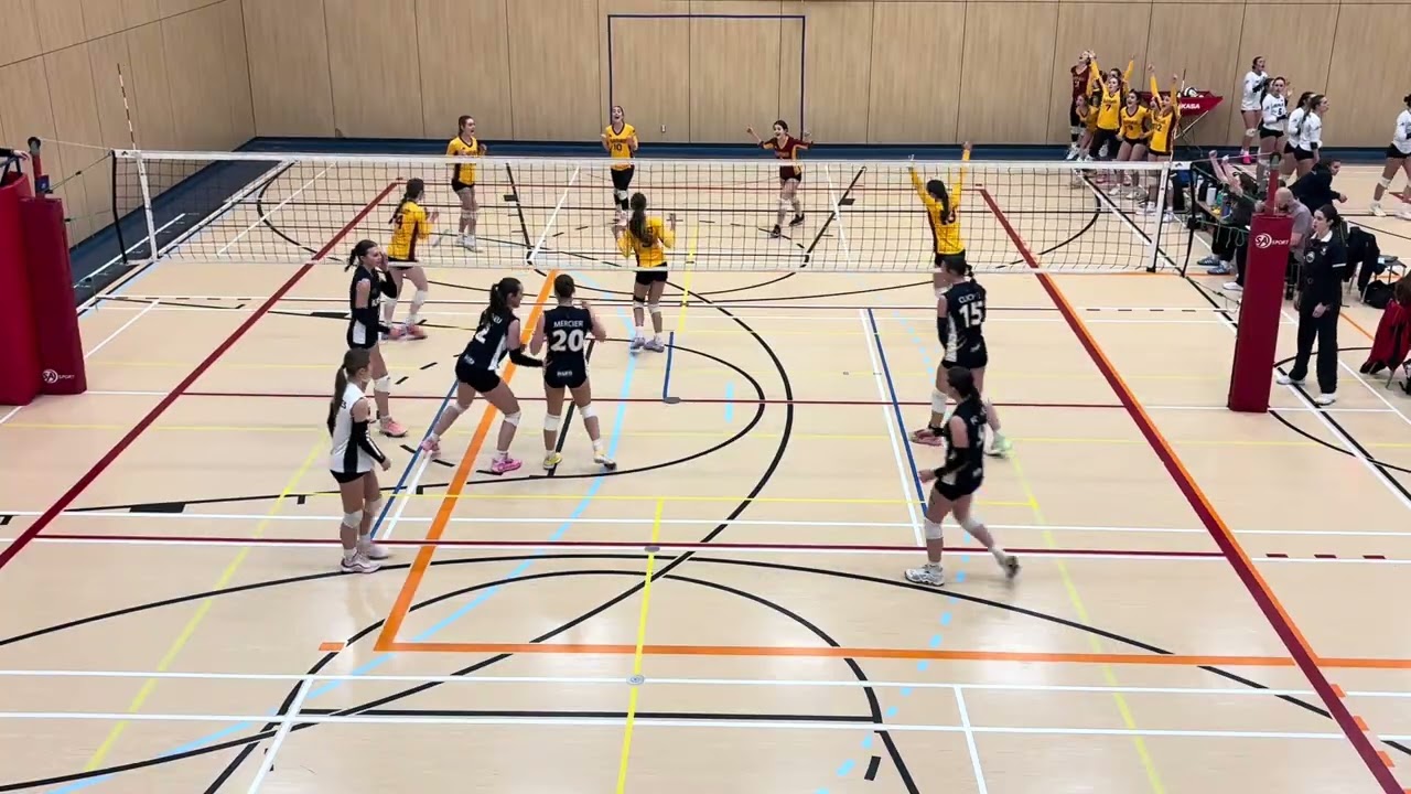 Panthères Vs Harfang Triolet 