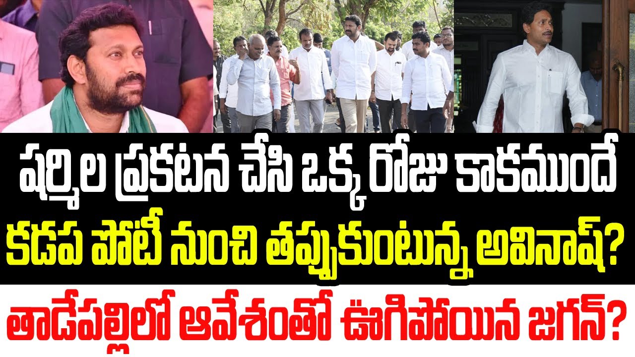 కడప పోటీ నుంచి తప్పుకున్న అవినాష్ రెడ్డి ? తాడేపల్లిలో ఆవేశంతో ఊగిపోయిన జగన్ ? I YS Avinash Reddy