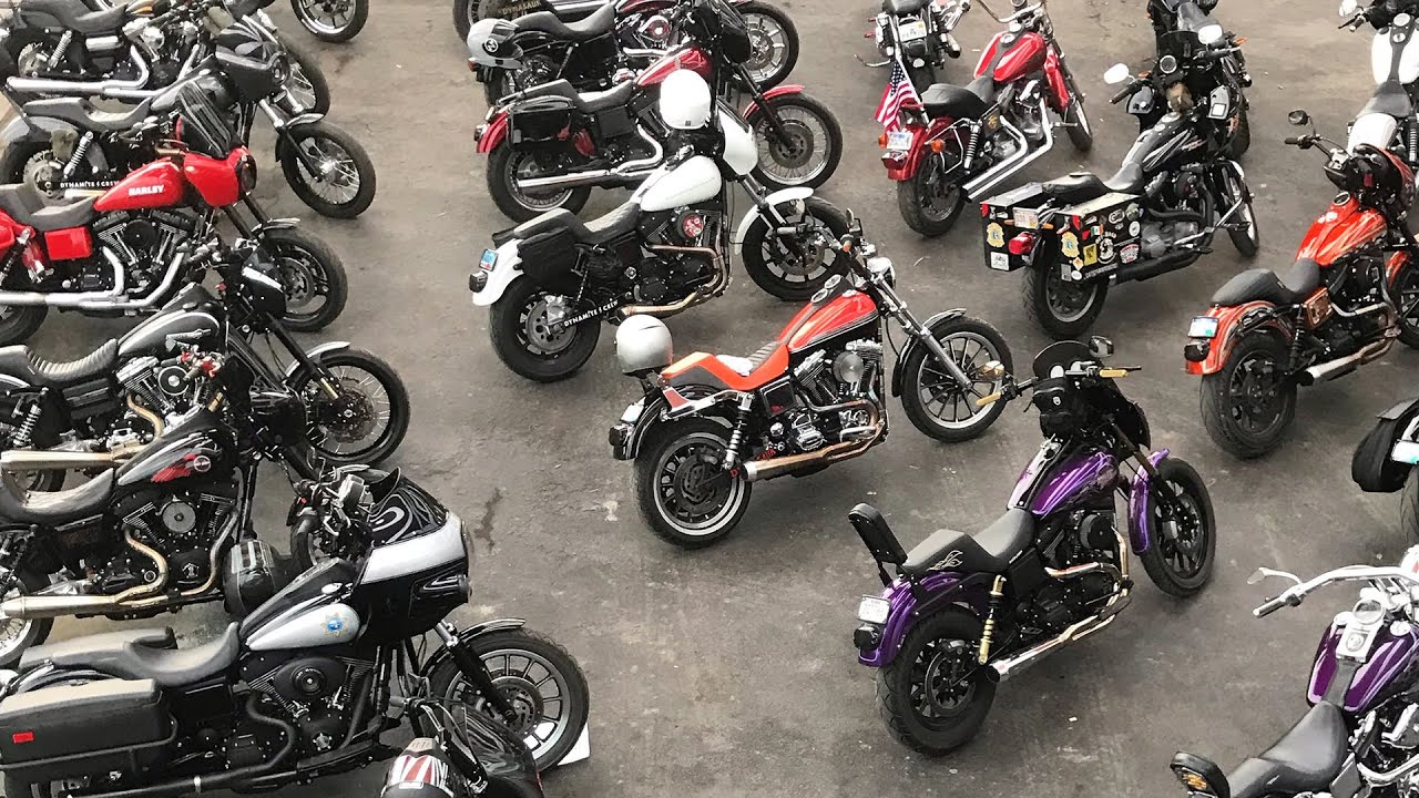 ШОУ DYNA & FXR!!!!