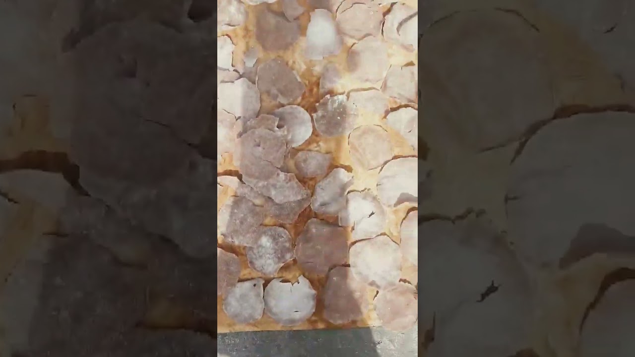 papad drying in hot sun