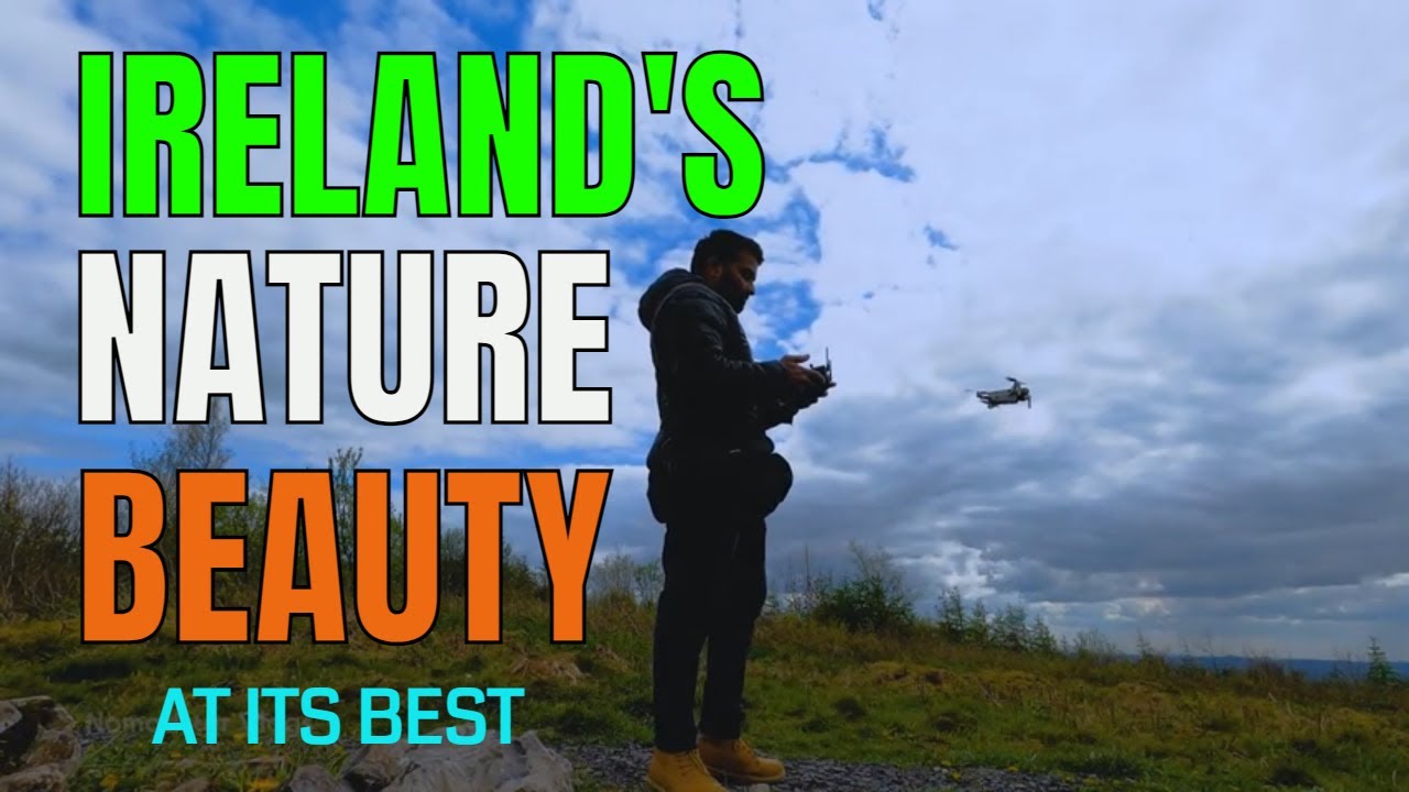 Melting Into Nature | Solo Trip in Mullaghmeen Forest Park in Westmeath | Ireland