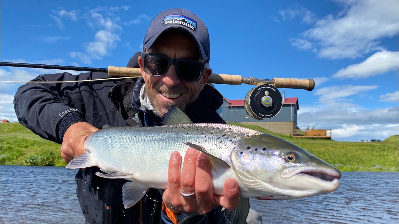 Salmon Fishing in Iceland - The West and East Ranga Rivers - August 2020