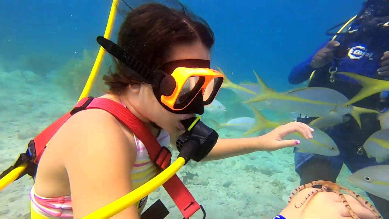 Snuba Diving At Coral World Ocean Park St Thomas VI  2019