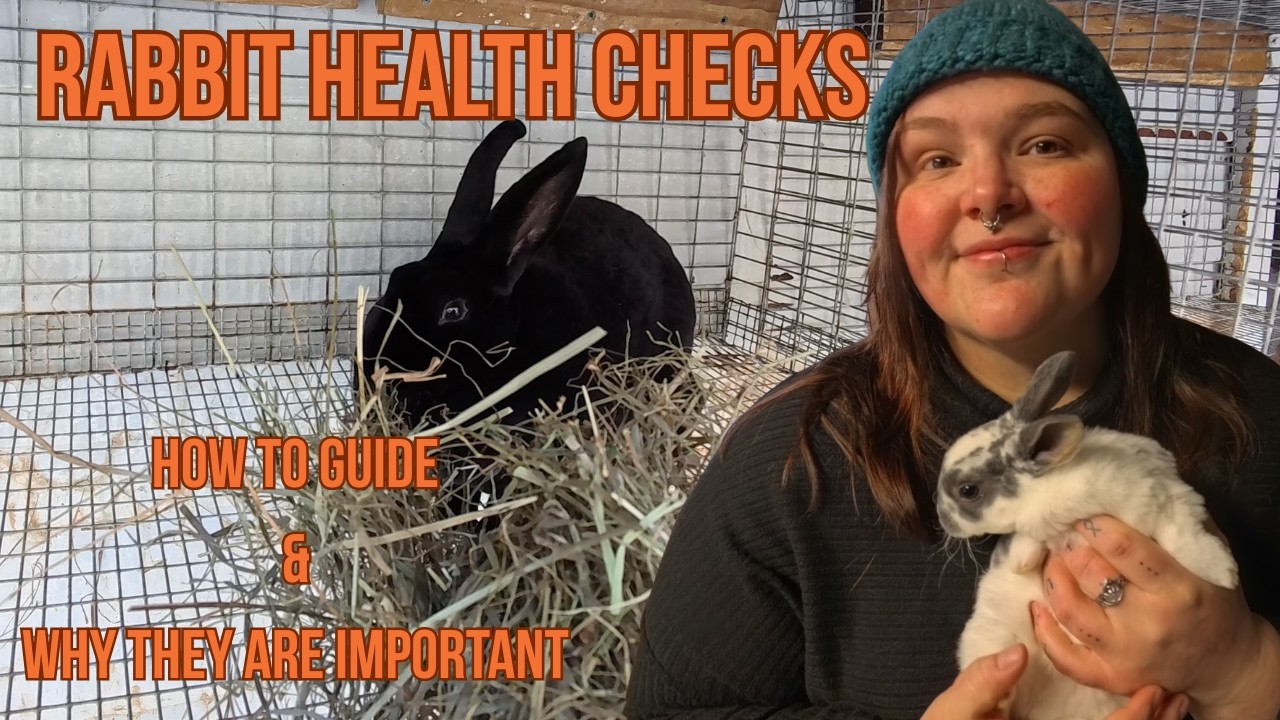 Rabbit Health Checks- A how to Guide
