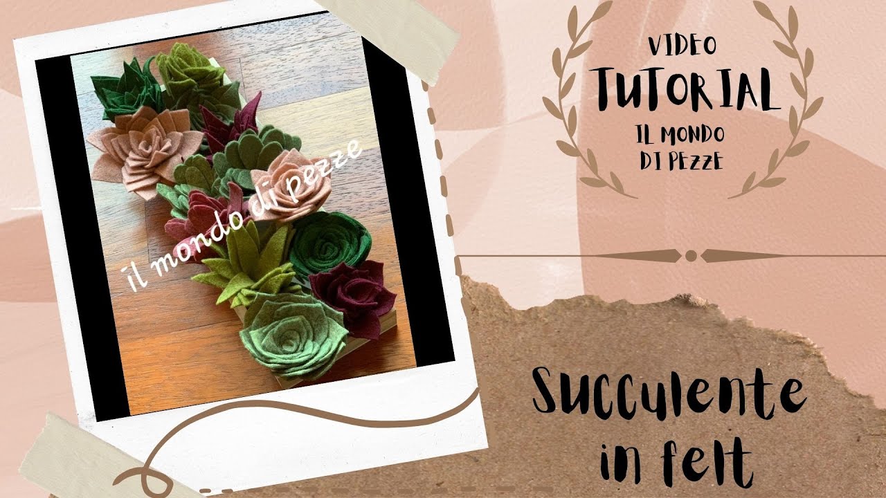 LE SUCCULENTE ( Piante Grasse)