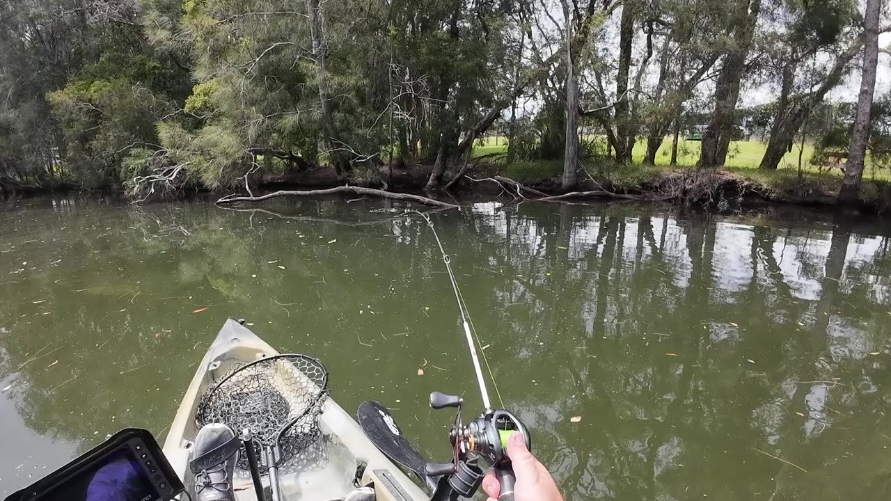 Lots of Misses and Frustration with a couple of Bream
