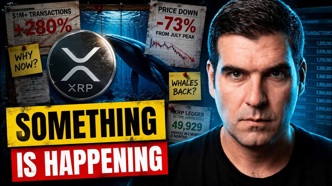 Крупные игроки XRP что-то знают