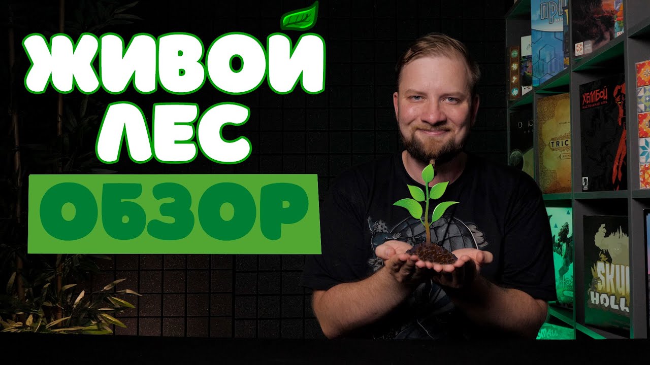 Живой лес - Обзор настольной игры