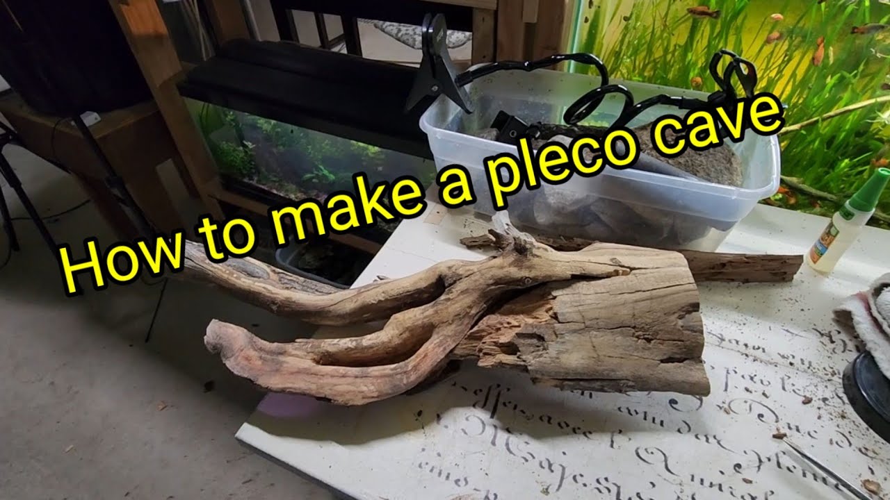 How to make a pleco cave