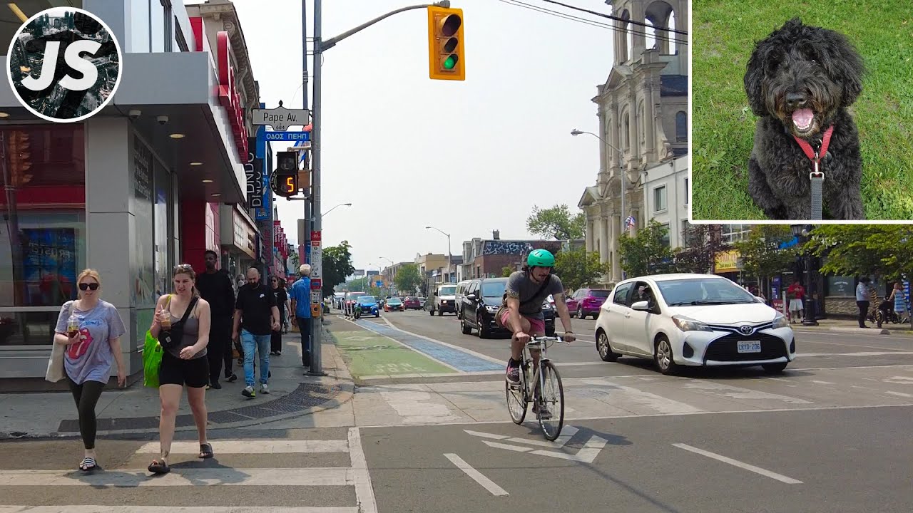 Greektown & Withrow Park with a Whoodle | Toronto Dog Walk