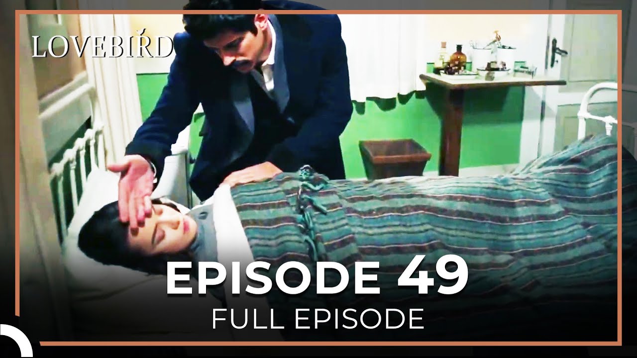 Lovebird Episode 49