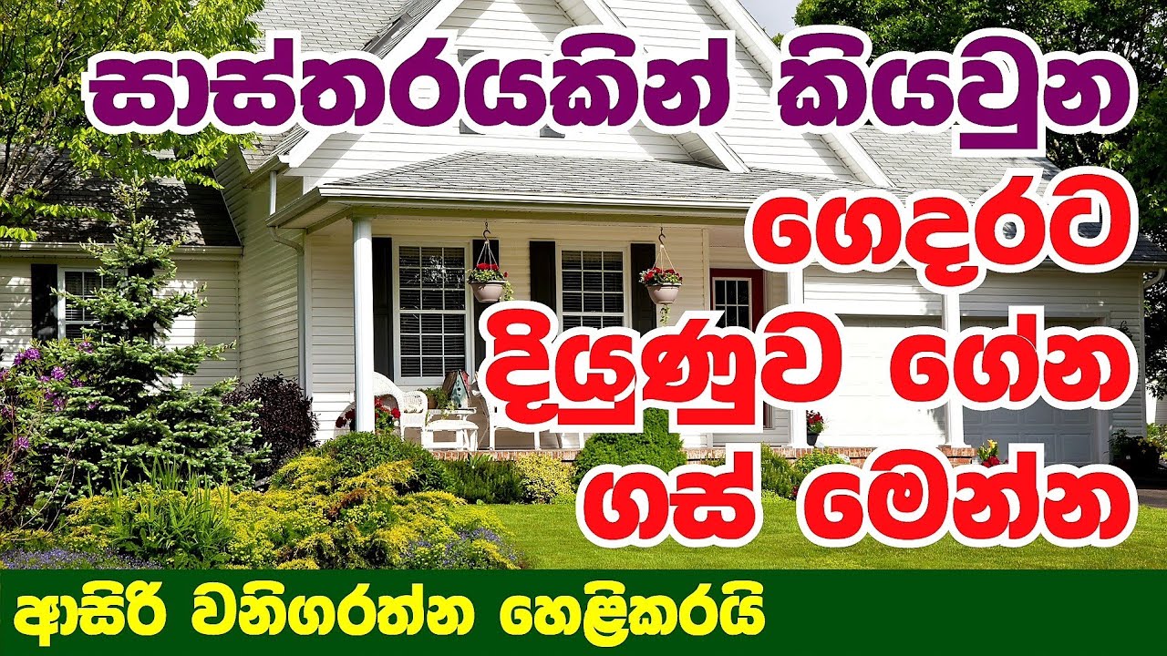 දේවතාවියක් හෙලිකල , නිවසට වාසනාව සහ අවාසනාව ගේන ගස්