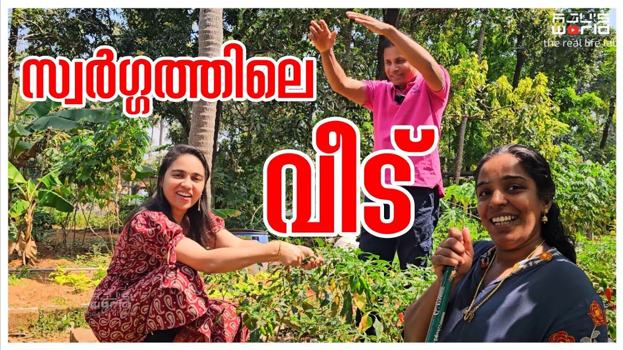 മുളക് കൊണ്ടാട്ടം /Mulaku Kondattam recipe /Chilli Kondattam/Vegetarian recipe /AJU'S WORLD