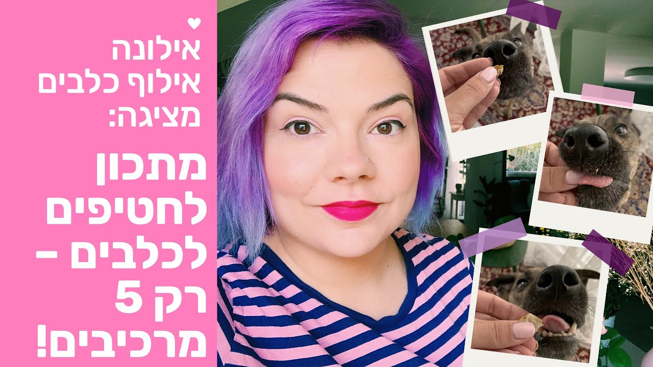 איך בוחרים חטיפים לכלב ומתכון לחטיפי אילוף טבעיים ובריאים לכלבים - אילונה אילוף כלבים