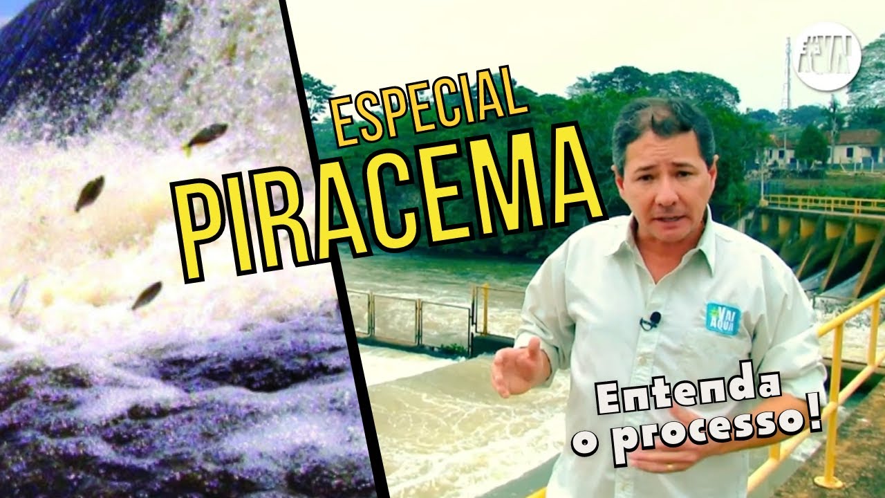 ESPECIAL PIRACEMA: Entenda os detalhes deste processo de REPRODUÇÃO.