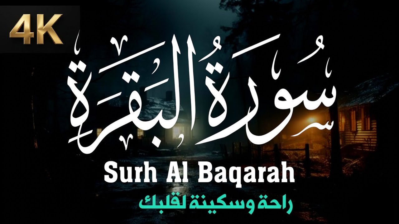 سورة البقرة _ قران الصباح و المساء لحفظ وتحصين المنزل وجلب البركة | Sourah Baqara quran karem