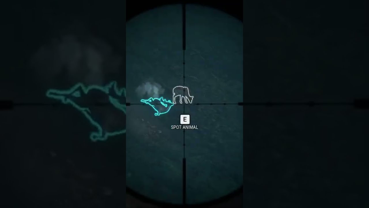 Топ-5 видов для БЫСТРЫХ ДЕНЕГ!!! 🤑🤑🤑 - Call of the Wild #Shorts