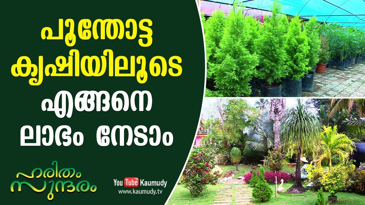 പൂന്തോട്ട കൃഷിയിലൂടെ എങ്ങനെ ലാഭം  നേടാം | കൗമുദി ടി.വി