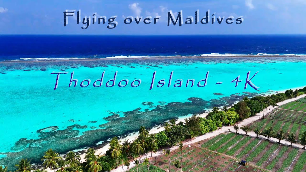 Flying over Maldives - Thoddoo Island 4K