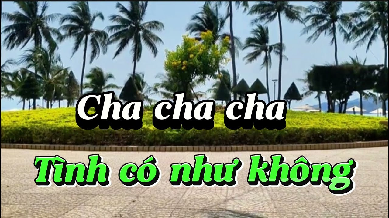Tình có như mơ . Nhạc cha cha nhảy linedance