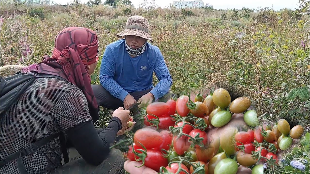Biglaan Ang Pangyayari ,Ngunit Pagkita Namin Ganito Na 