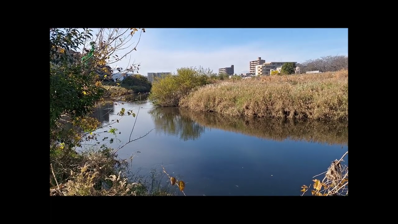 本居宣長　『源氏物語　玉の小櫛』序文と冒頭　物語総論