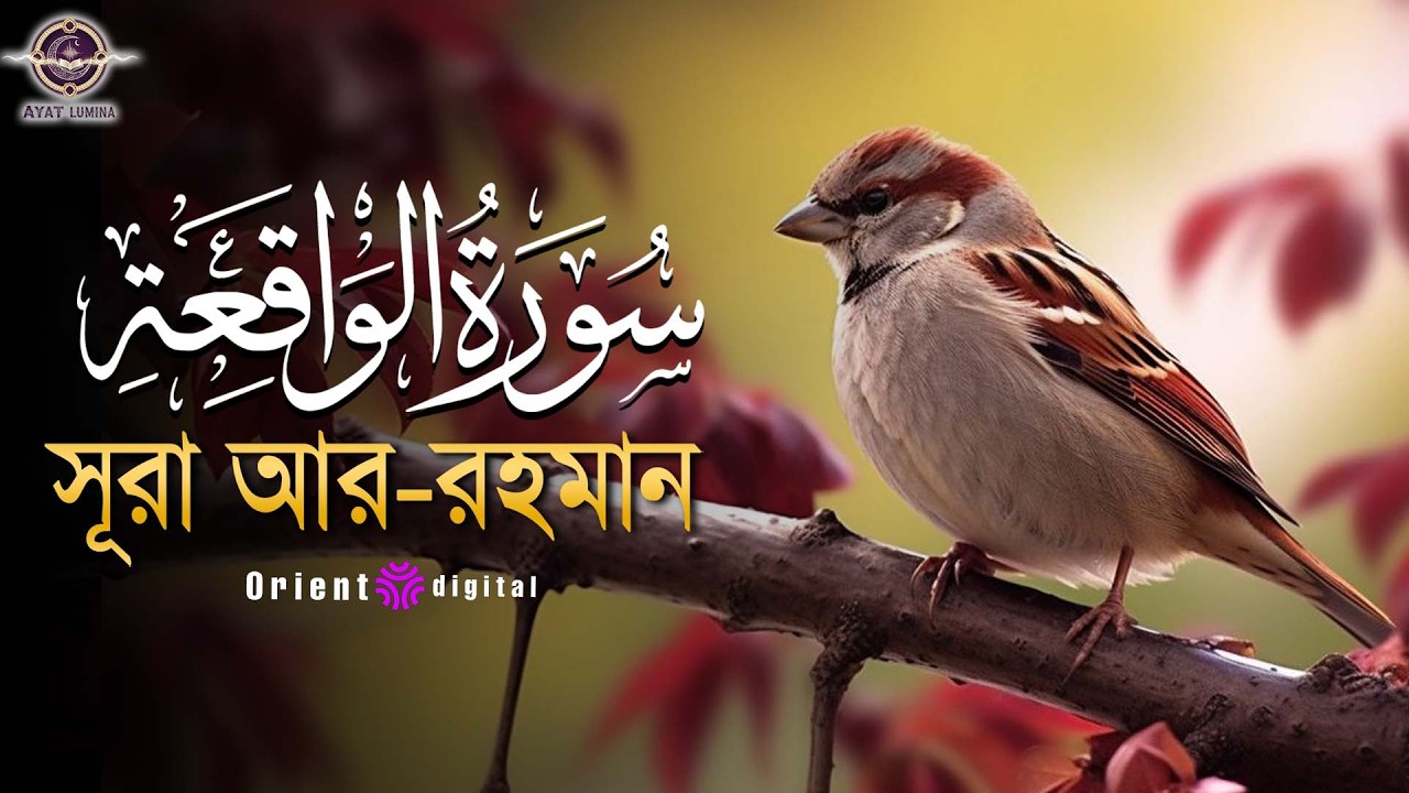 সূরা ওয়াকিয়াহ এর আবেগময় তিলাওয়াত (سورة الواقعة) | Surah Al-Waqiah Recited by Muhammad Ahmed Hassan