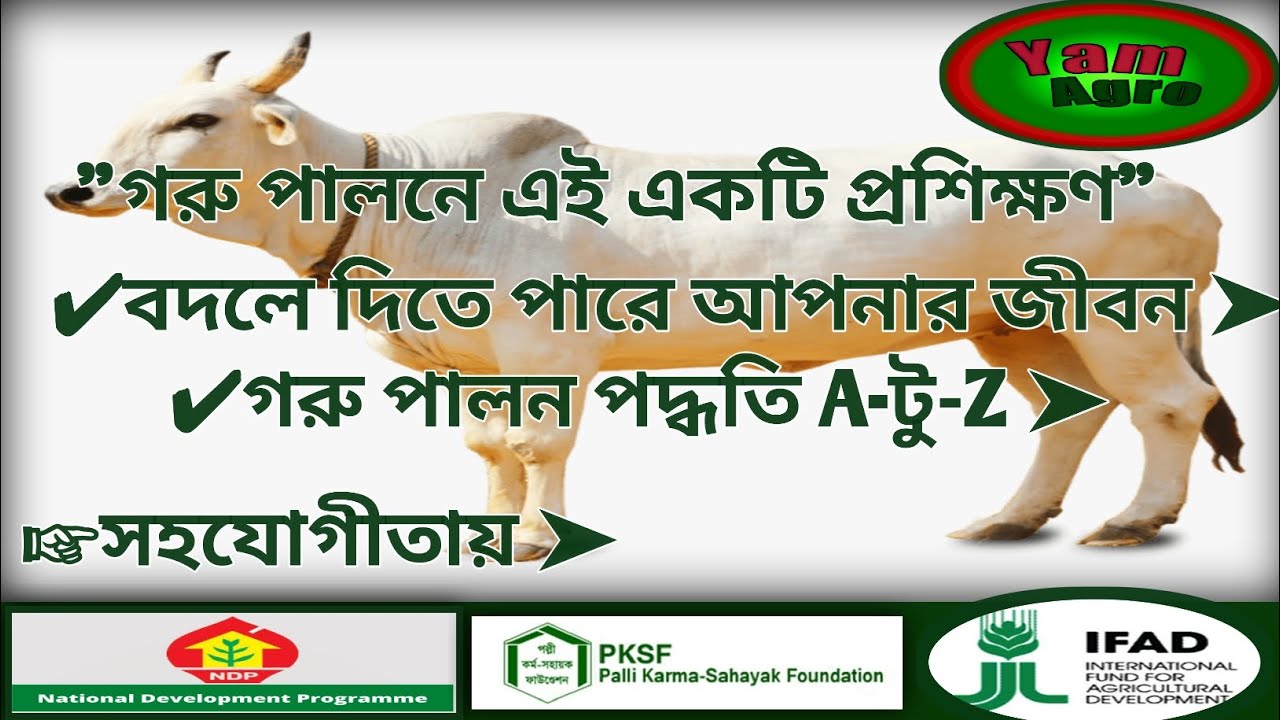 গরু মোটাতাজাকরণ খাদ্য তালিকা | গবাদি পশু চিকিৎসা প্রশিক্ষণ | The Cow Fattening Diet Plan 🐄