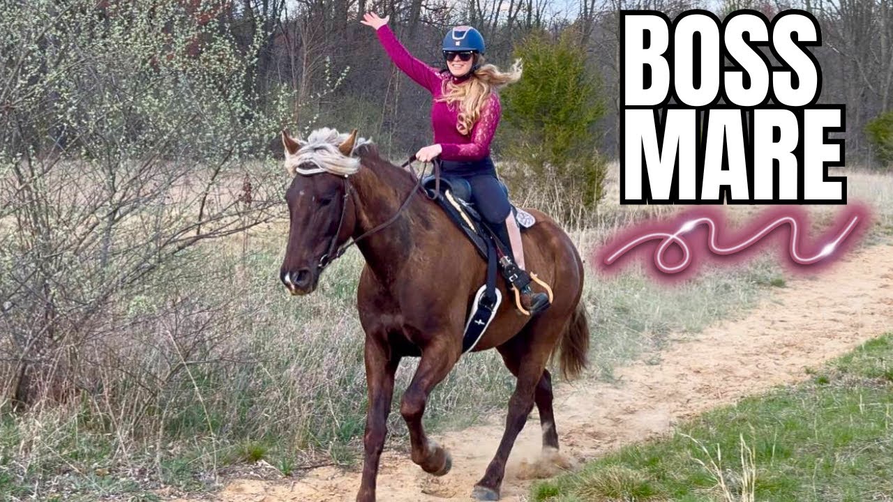 Auction Mare’s First Adventure!!! Will She Succeed?