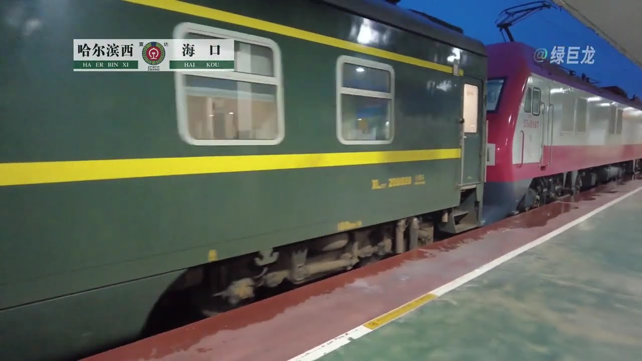 东北地区始发运行最远的超级王炸神车哈尔滨西-海口Z114次列车#火车 #高铁 #中国火车旅行 #travel #railway