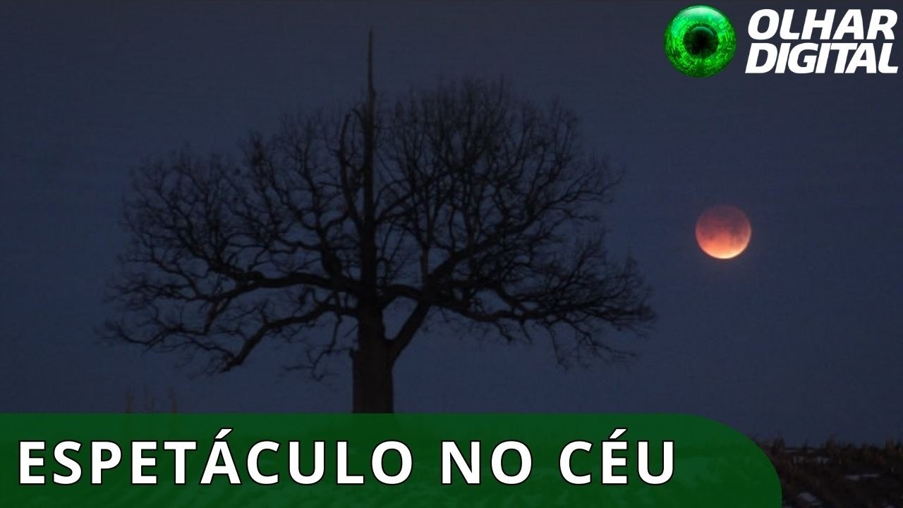 Eclipse lunar total: confira imagens da espetacular “Lua de Sangue”