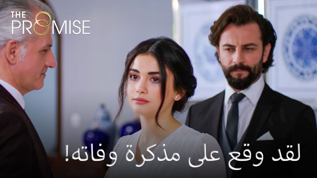 زواج أمير وريحان الذي شهدته هذه الليلة | اليمين عربي مقاطع قصيرة