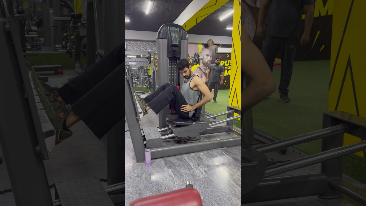 Seated Leg Press