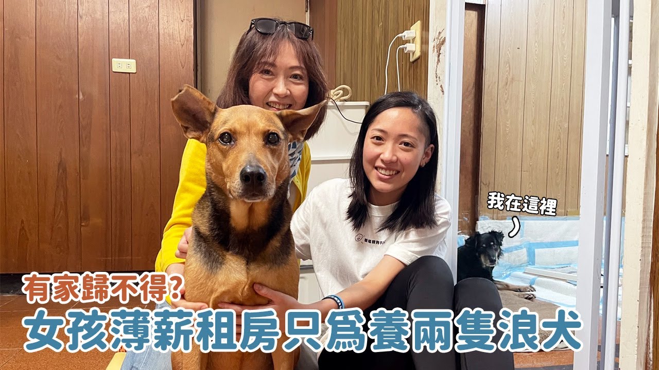 有家歸不得？女孩薄薪租房只為收養兩隻浪犬｜暖心故事