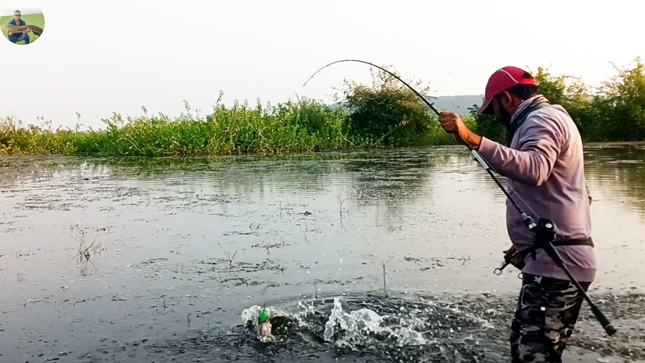 Snakehead Murrel River Fishing 😯 Back to Back Attacks 😱